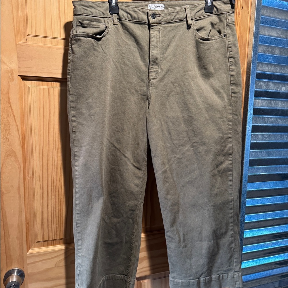 Carly Jean Los Angeles Khaki Flare Jeans